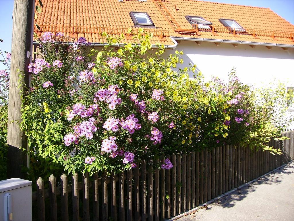 Villa Wiflinger Graben Einfamilienhaus Wörth Exterior foto